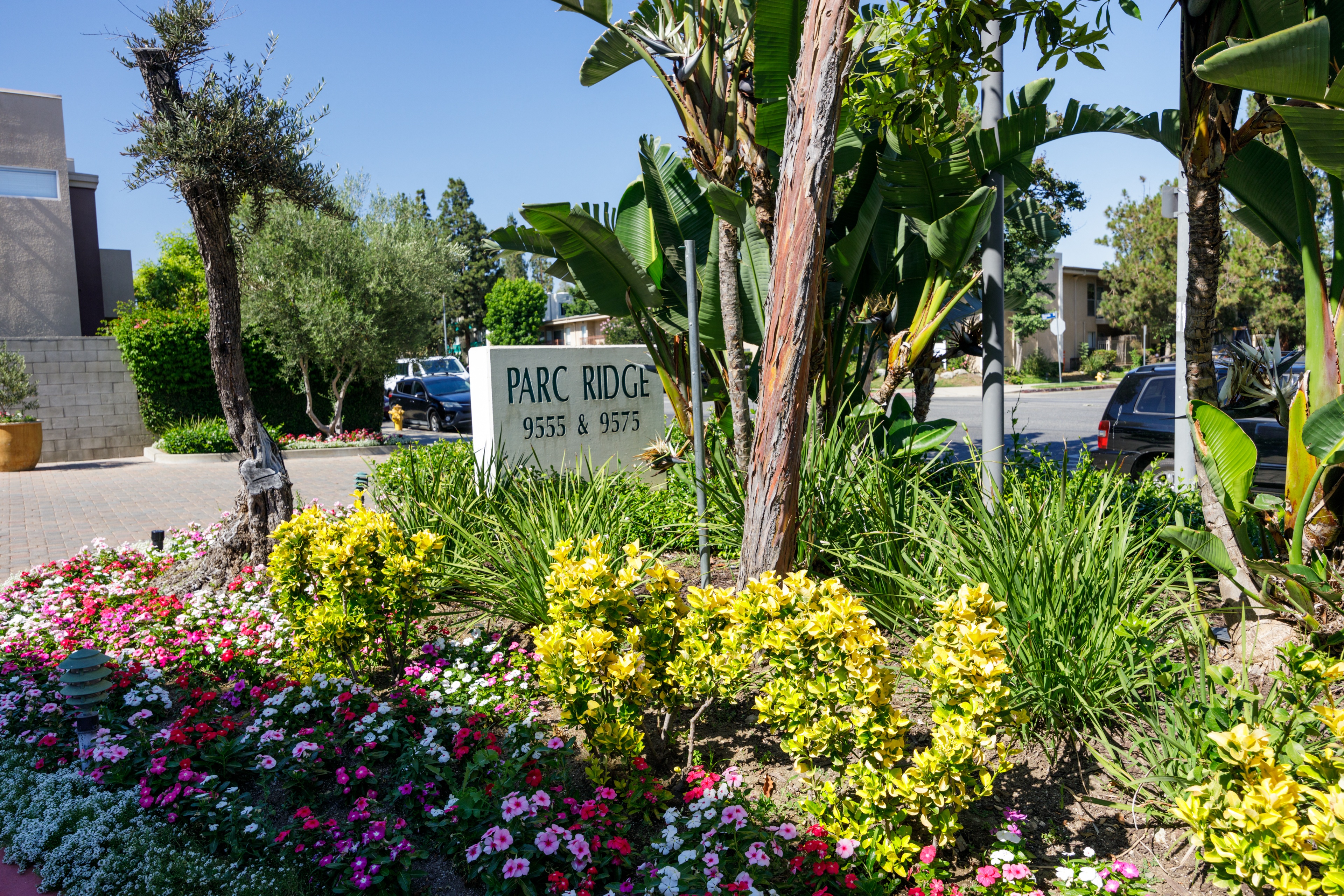 property for rent #2