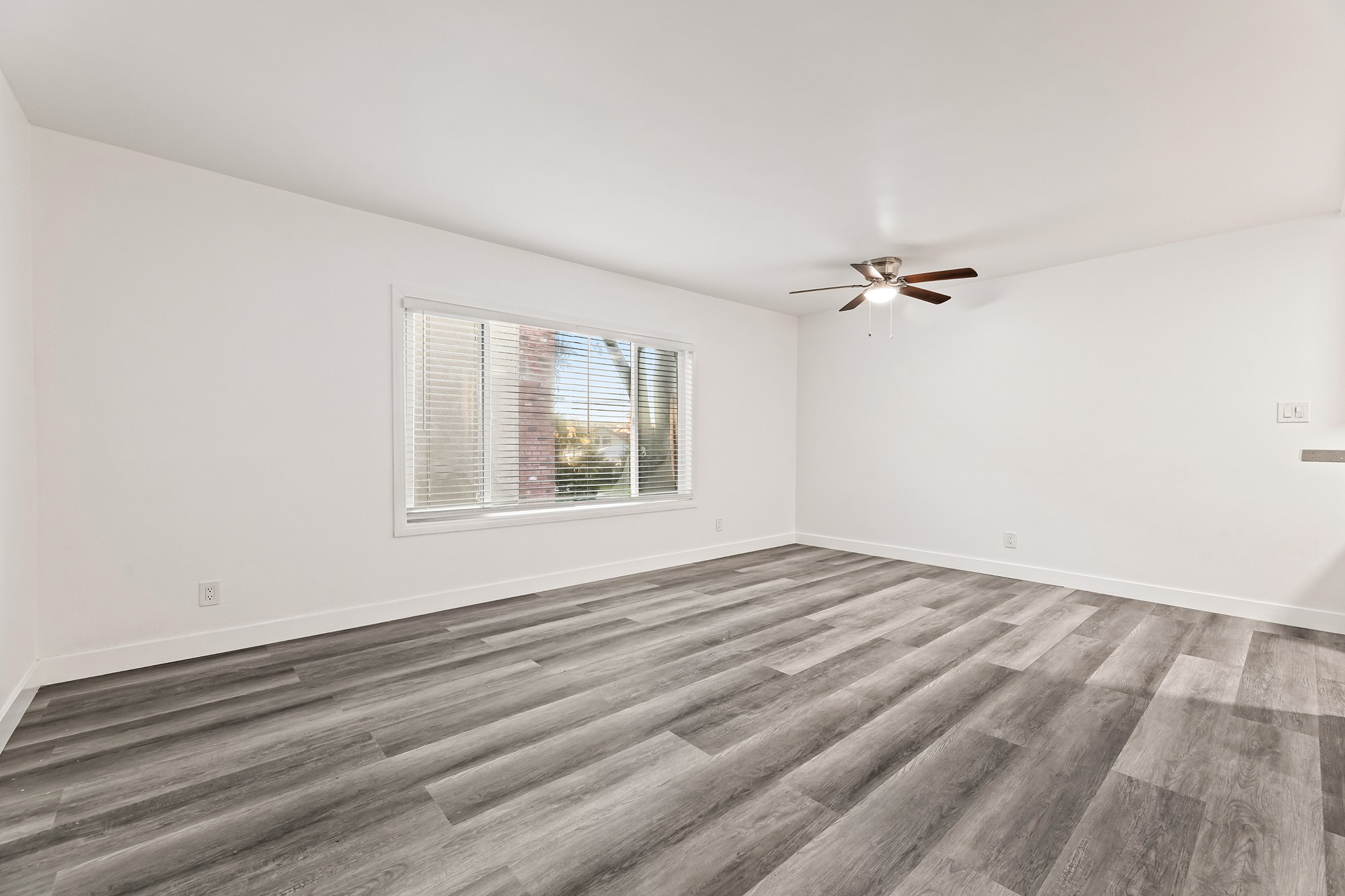 property for rent #7