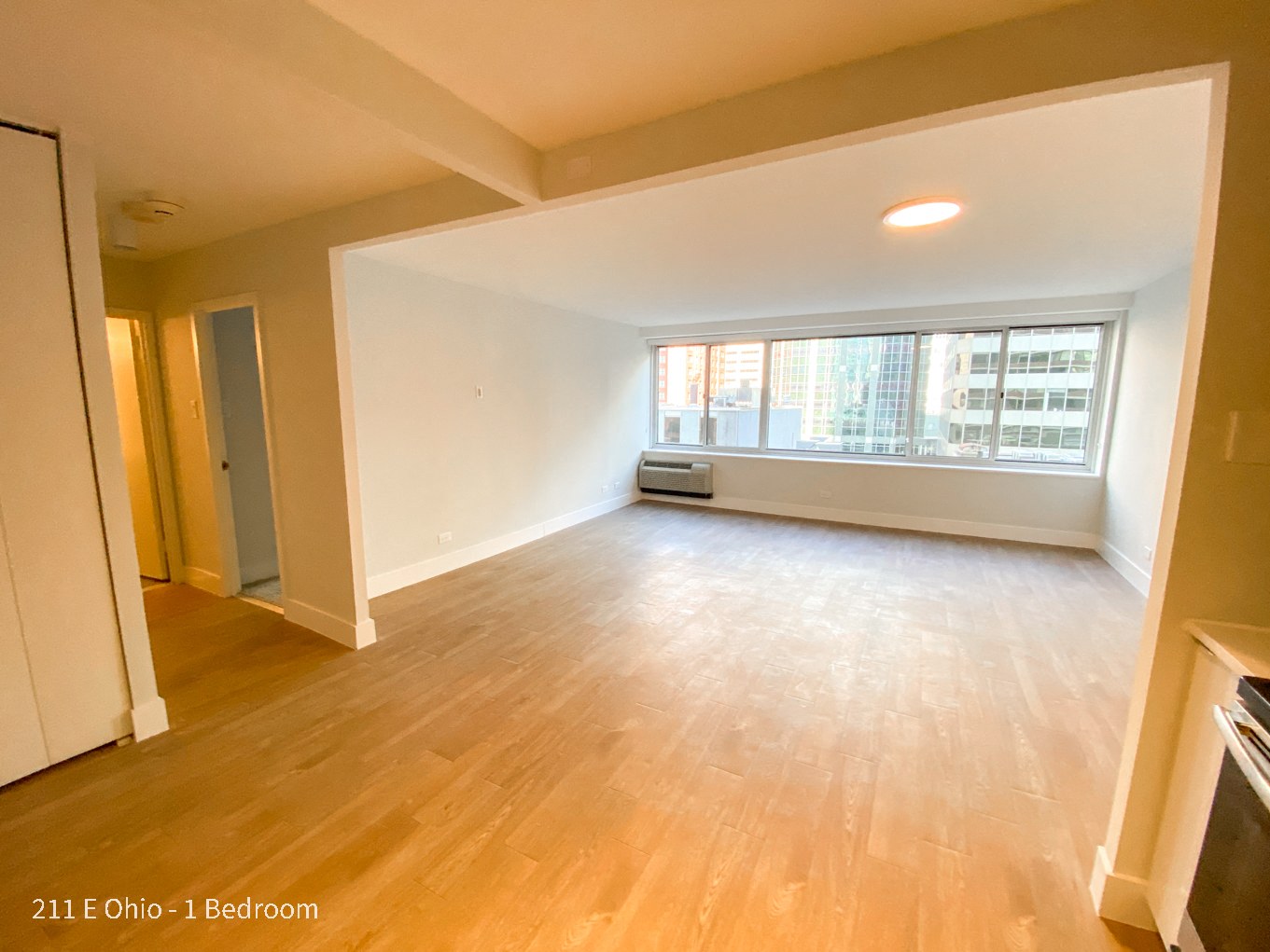 211 E. Ohio St. Condos 211 E. Ohio St., Chicago, IL 60611 Streeterville - Leasing by Cross Street