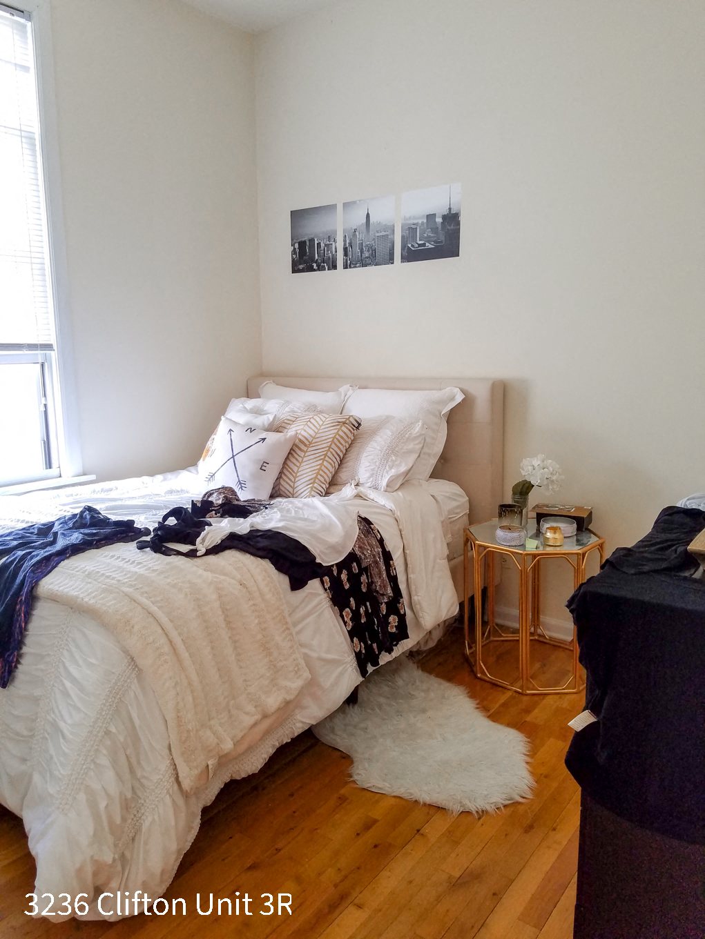 3236-38 N. Clifton Ave. 3236-38 N. Clifton Ave., Chicago, IL 60657 Lake View East - Leasing by Cross Street