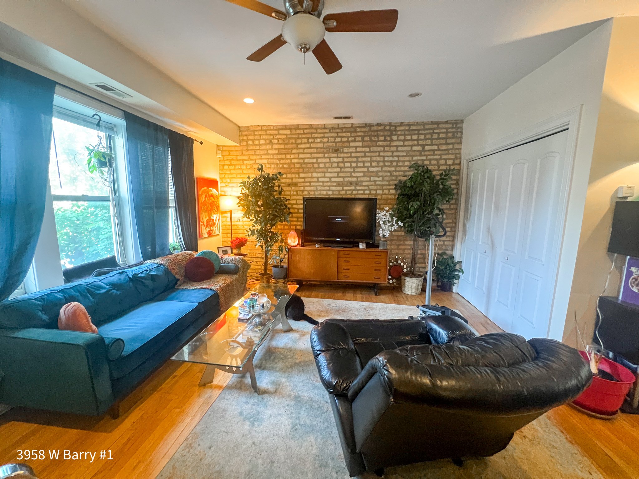 3101-03 N. Springfield / 3956-58 W. Barry 3101-03 N. Springfield, Chicago, IL 60618 - Leasing by Cross Street