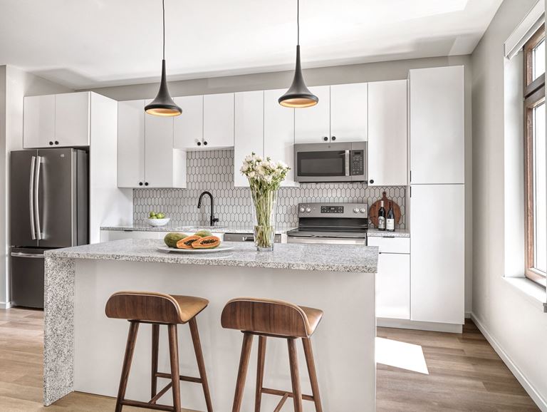 Model-White-Kitchen