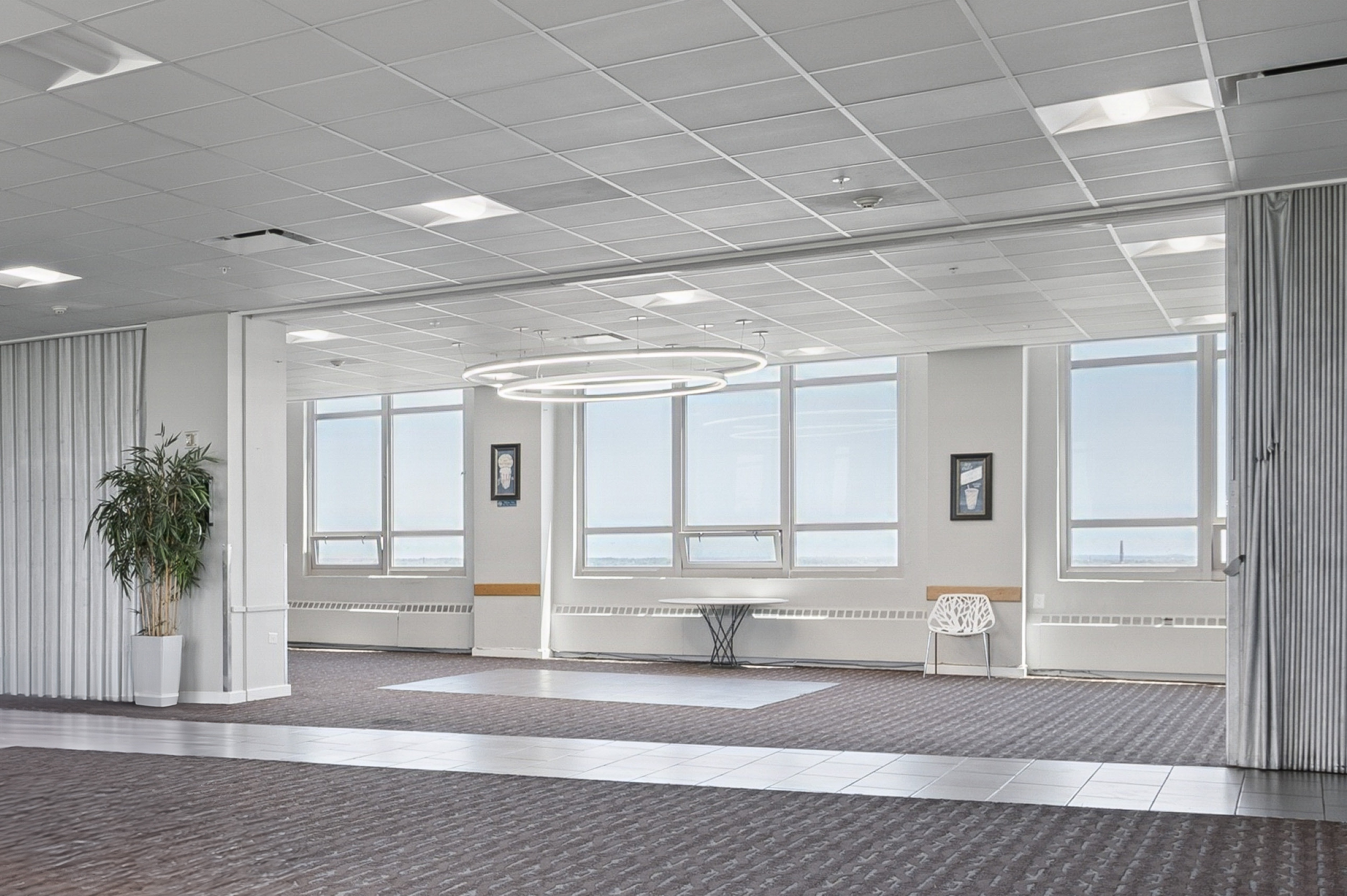A white room with a bench and a potted plant.