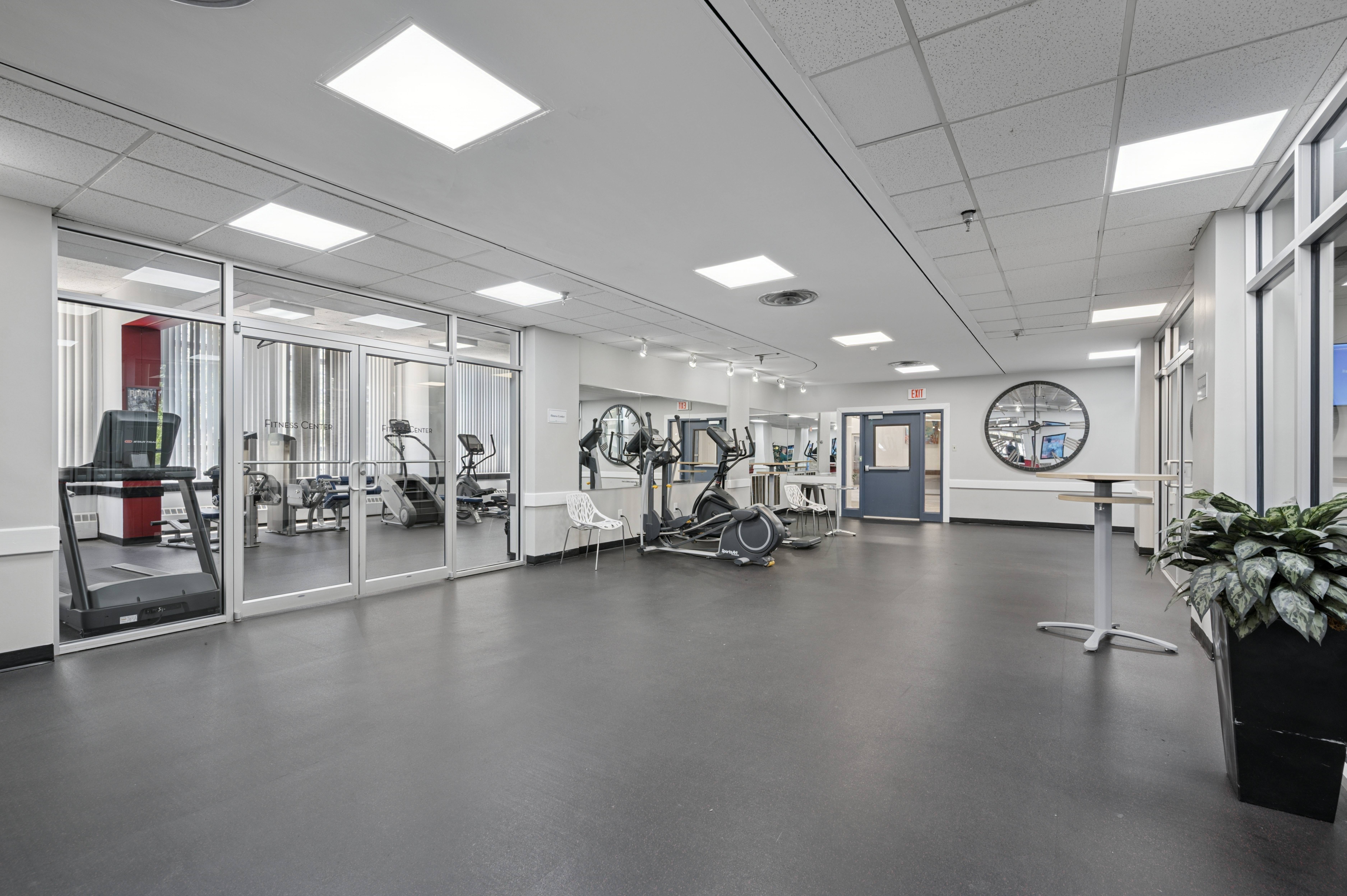 A gym with a variety of equipment and a potted plant.