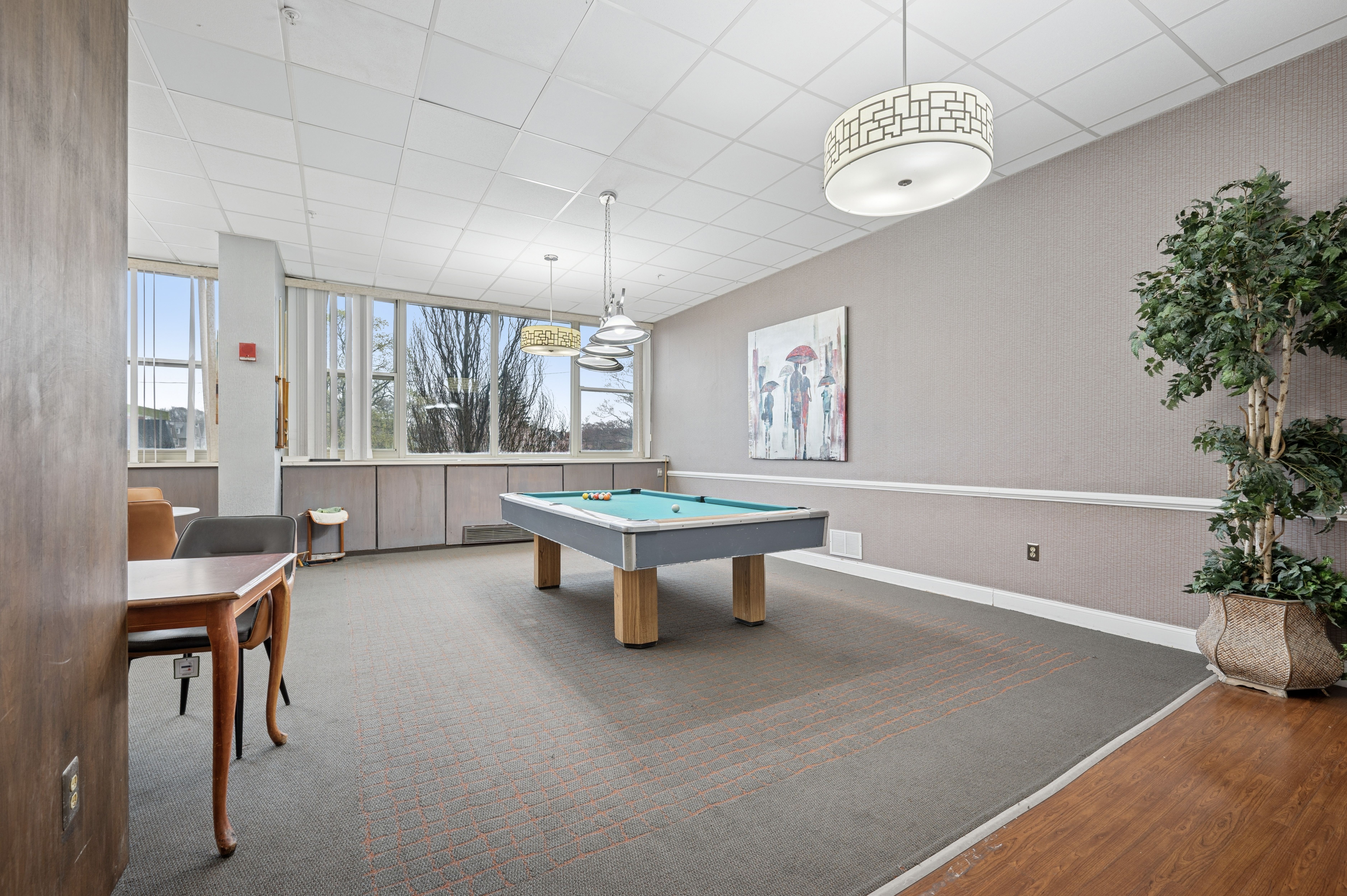 A room with a pool table and a plant.