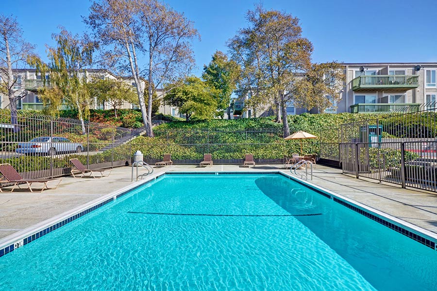 A fenced-in pool with lush landscaping on a sunny day at the Baycliff Apartments in Richmond, California.