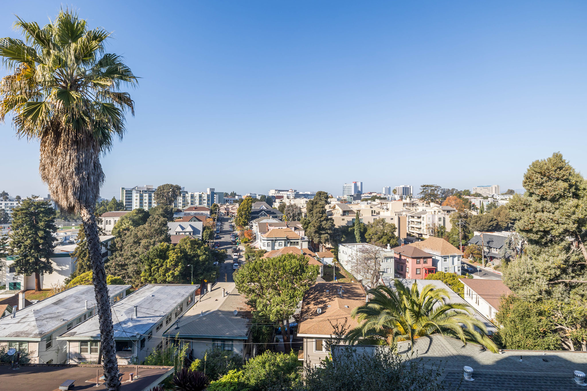 257 Vernon #218 Gallery Image #2