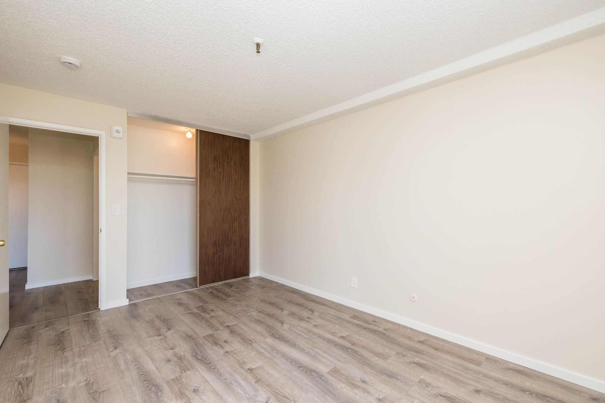 257 Vernon #218 Gallery Image #7