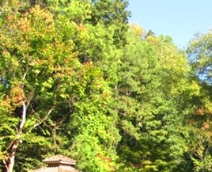 Sandy Springs Ga Apartments For Rent From 735 Rentcaf 233