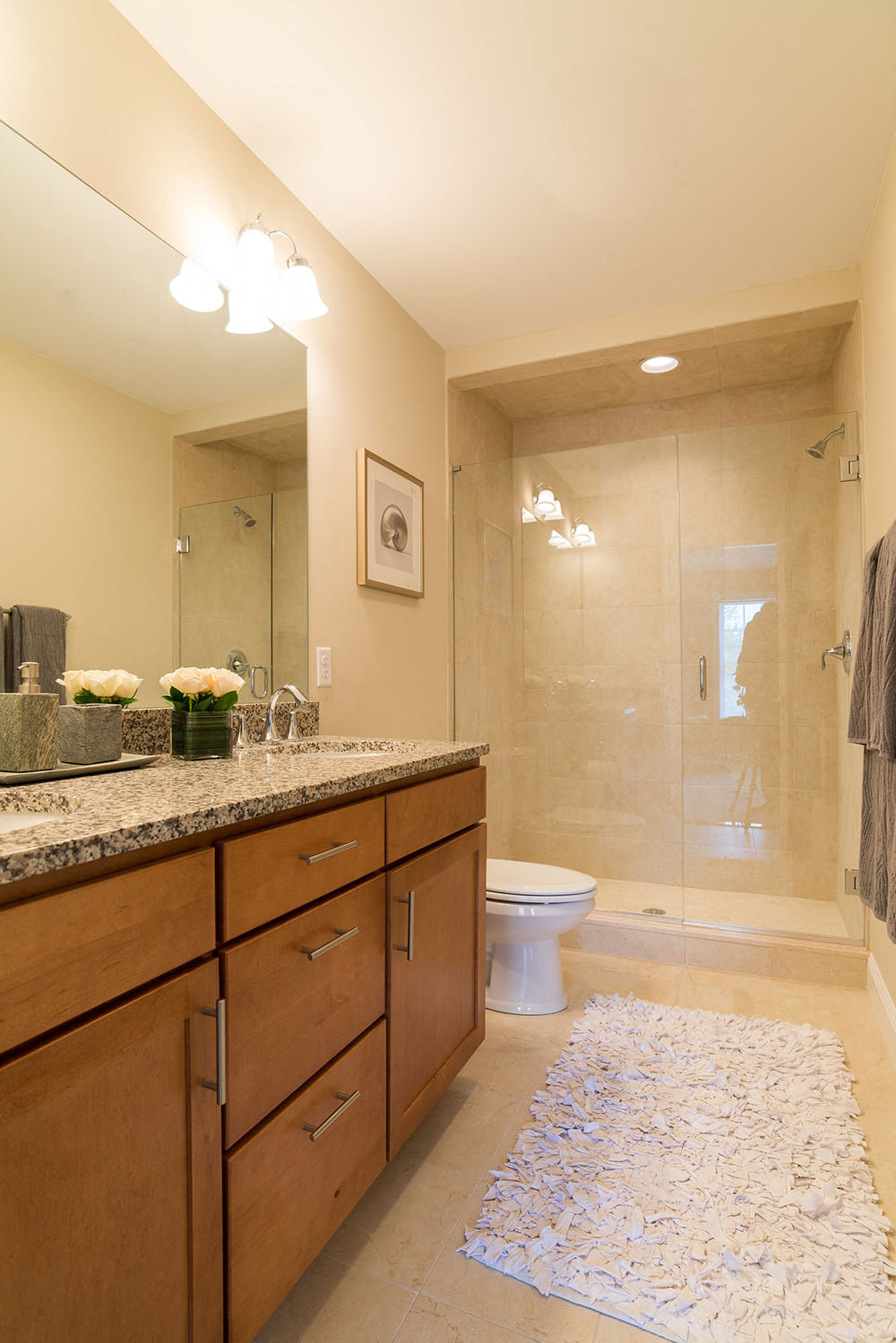 Mayfair Square Rms Als Apartments For In Danbury