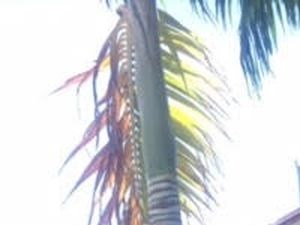 2 bedroom apartments for rent in liberia, fl – rentcafé 2 bedroom apartments for rent in liberia, fl – rentcafé