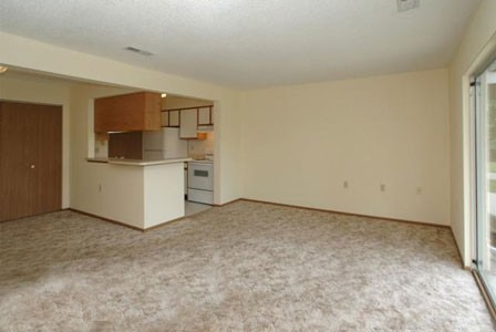 Living Room and Kitchen