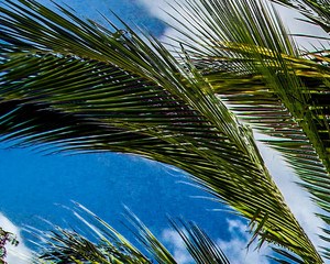 2 bedroom apartments for rent in pembroke pines, fl: 138 rentals 2 bedroom apartments for rent in pembroke pines, fl: 138 rentals