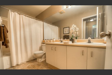 Rent Cheap Apartments In King County From 730 Rentcaf 233