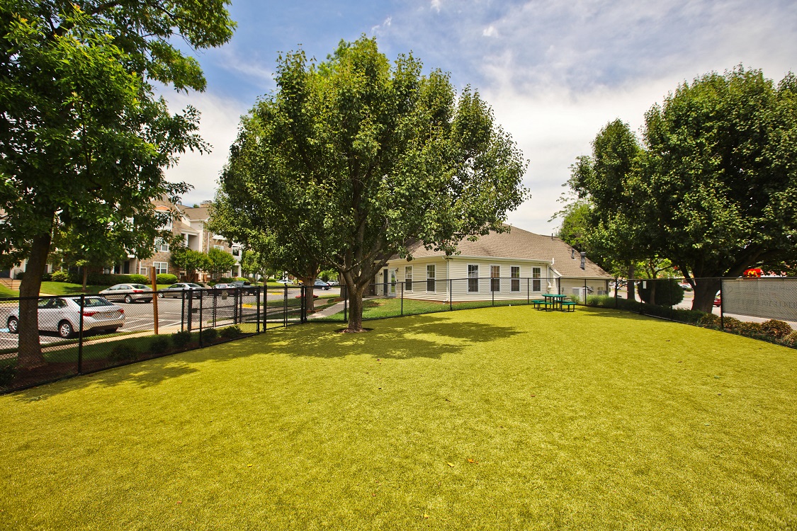 Dog Park Scene at Saratoga Square